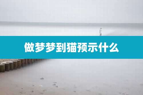 做梦梦到猫预示什么