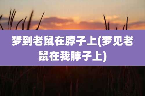 梦到老鼠在脖子上(梦见老鼠在我脖子上)