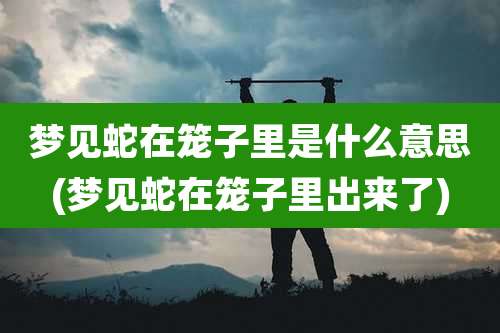 梦见蛇在笼子里是什么意思(梦见蛇在笼子里出来了)