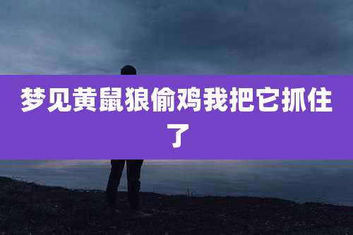梦见黄鼠狼偷鸡我把它抓住了