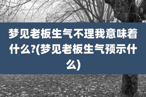 梦见老板生气不理我意味着什么?(梦见老板生气预示什么)
