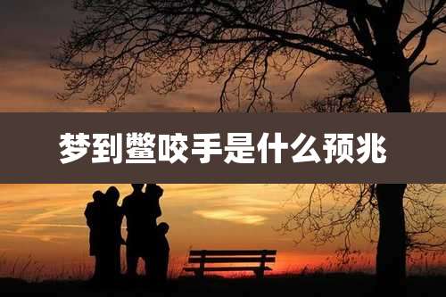 梦到鳖咬手是什么预兆