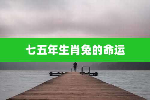 七五年生肖兔的命运