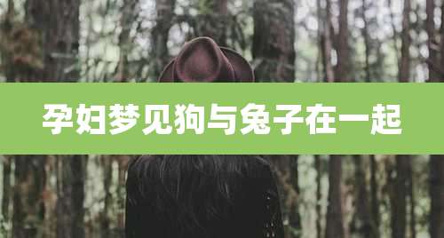 孕妇梦见狗与兔子在一起