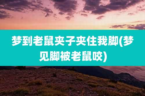 梦到老鼠夹子夹住我脚(梦见脚被老鼠咬)
