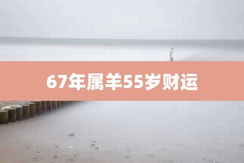 67年属羊55岁财运