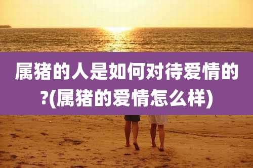 属猪的人是如何对待爱情的?(属猪的爱情怎么样)