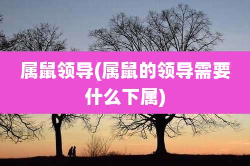 属鼠领导(属鼠的领导需要什么下属)