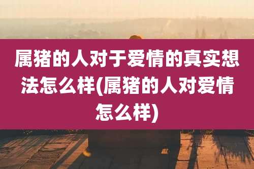 属猪的人对于爱情的真实想法怎么样(属猪的人对爱情怎么样)