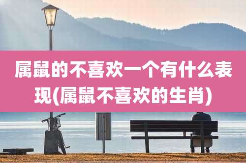 属鼠的不喜欢一个有什么表现(属鼠不喜欢的生肖)