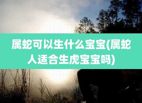 属蛇可以生什么宝宝(属蛇人适合生虎宝宝吗)