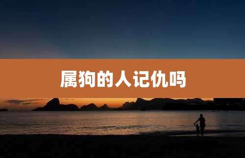 属狗的人记仇吗