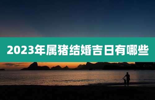 2023年属猪结婚吉日有哪些