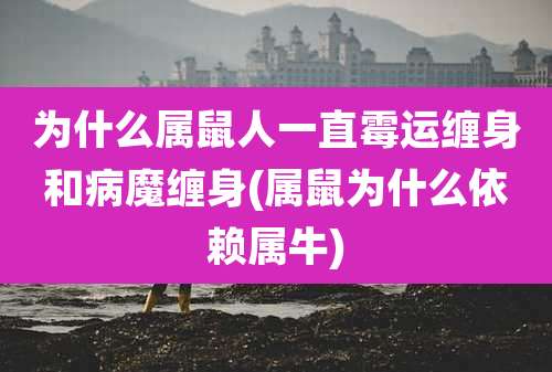 为什么属鼠人一直霉运缠身和病魔缠身(属鼠为什么依赖属牛)