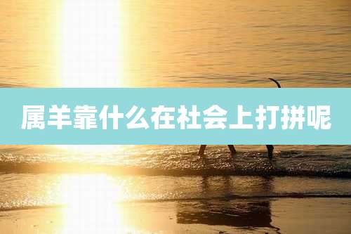 属羊靠什么在社会上打拼呢