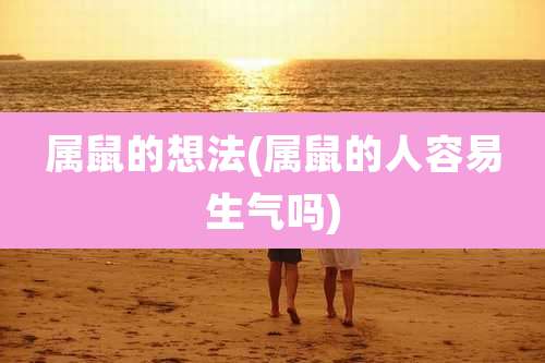 属鼠的想法(属鼠的人容易生气吗)