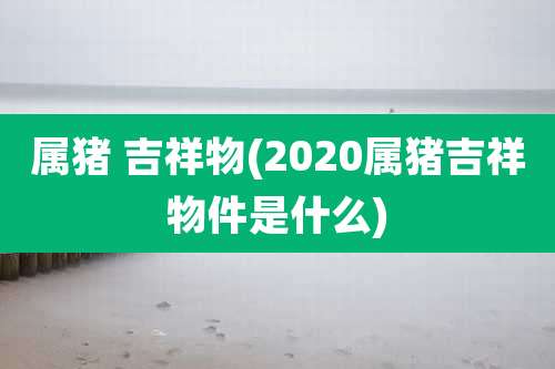 属猪 吉祥物(2020属猪吉祥物件是什么)