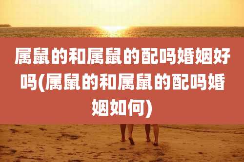 属鼠的和属鼠的配吗婚姻好吗(属鼠的和属鼠的配吗婚姻如何)