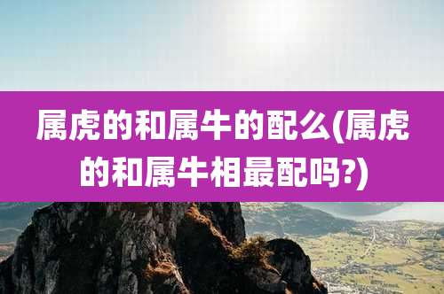 属虎的和属牛的配么(属虎的和属牛相最配吗?)