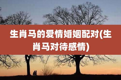 生肖马的爱情婚姻配对(生肖马对待感情)