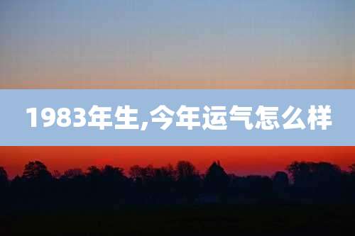 1983年生,今年运气怎么样