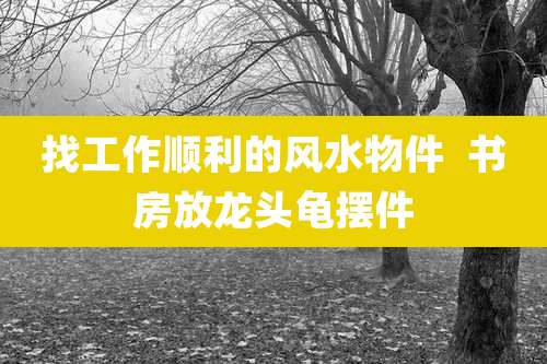 找工作顺利的风水物件 书房放龙头龟摆件