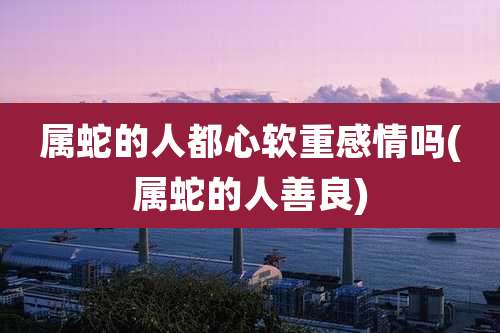 属蛇的人都心软重感情吗(属蛇的人善良)