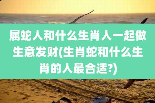 属蛇人和什么生肖人一起做生意发财(生肖蛇和什么生肖的人最合适?)