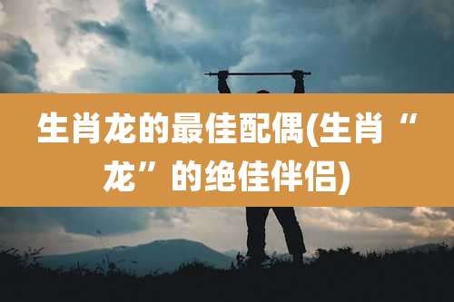 生肖龙的最佳配偶(生肖“龙”的绝佳伴侣)