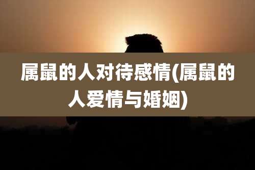 属鼠的人对待感情(属鼠的人爱情与婚姻)