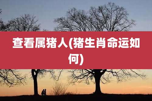 查看属猪人(猪生肖命运如何)