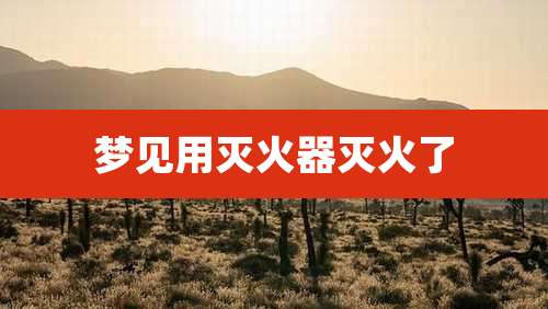梦见用灭火器灭火了
