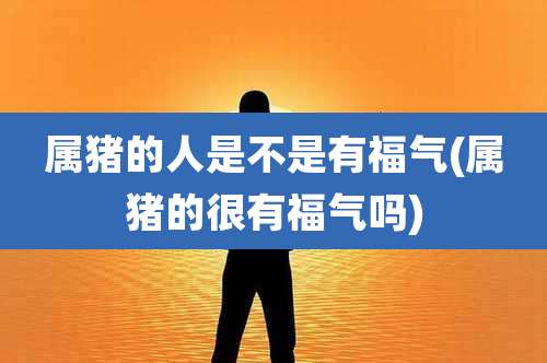 属猪的人是不是有福气(属猪的很有福气吗)
