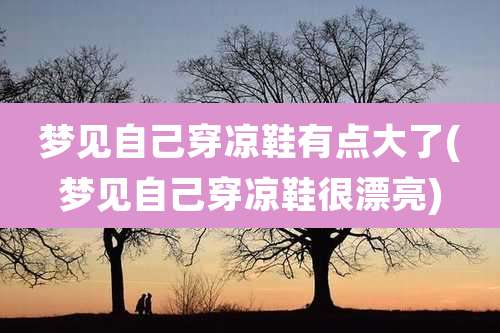 梦见自己穿凉鞋有点大了(梦见自己穿凉鞋很漂亮)