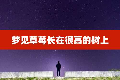 梦见草莓长在很高的树上