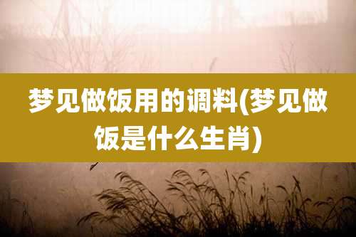 梦见做饭用的调料(梦见做饭是什么生肖)