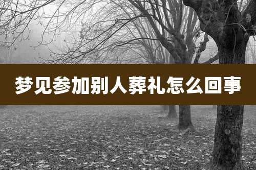 梦见参加别人葬礼怎么回事