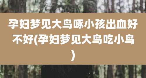 孕妇梦见大鸟啄小孩出血好不好(孕妇梦见大鸟吃小鸟)