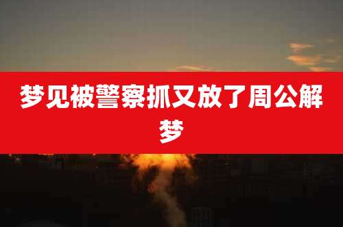 梦见被警察抓又放了周公解梦