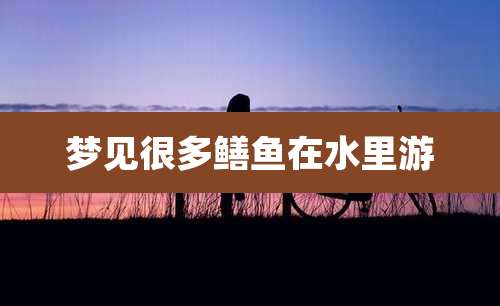 梦见很多鳝鱼在水里游