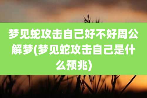 梦见蛇攻击自己好不好周公解梦(梦见蛇攻击自己是什么预兆)