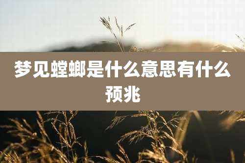 梦见螳螂是什么意思有什么预兆