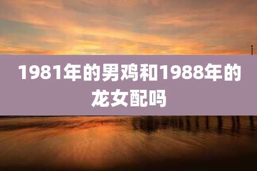 1981年的男鸡和1988年的龙女配吗
