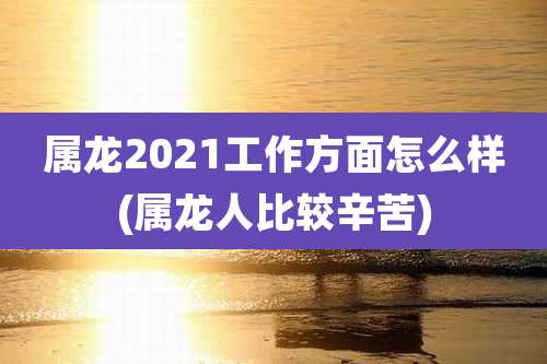 属龙2021工作方面怎么样(属龙人比较辛苦)