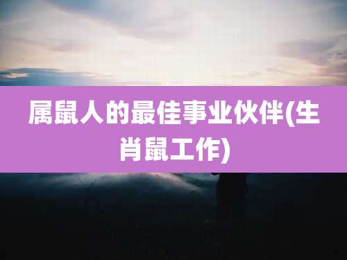 属鼠人的最佳事业伙伴(生肖鼠工作)