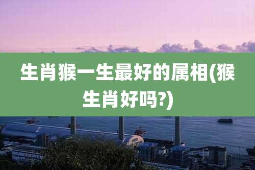 生肖猴一生最好的属相(猴生肖好吗?)