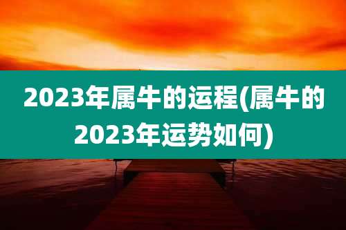 2023年属牛的运程(属牛的2023年运势如何)