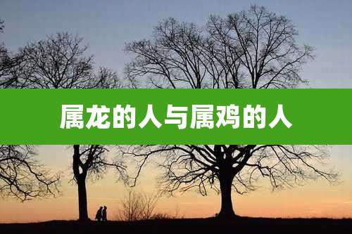 属龙的人与属鸡的人