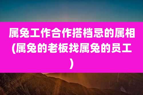属兔工作合作搭档忌的属相(属兔的老板找属兔的员工)