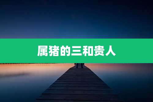 属猪的三和贵人